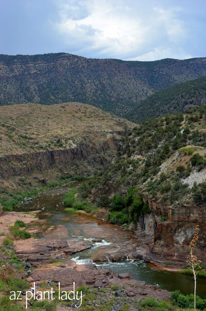 Salt River Canyon