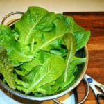 freshly-harvested-leaf-lettuce