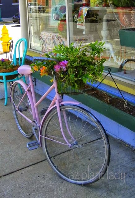 An old bicycle basket finds new purpose as a planter in Noblesville, Indiana
