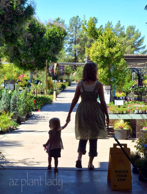 Introducing my granddaughter to the wonders of plants at our local nursery.