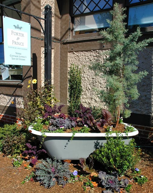 An old bathtub serves as a large planter in downtown Asheville, North Carolina.