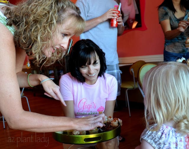 Last Saturday, I was asked by Wendy, the 'Cupcake Queen' if 'AZ Plant Lady' would make an appearance at our local cupcake shop.  So, I showed up with my husband and granddaughter in tow and we all enjoyed the delicious sampling of Gigi's delicious cupcakes.