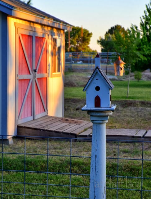 Birdhouse