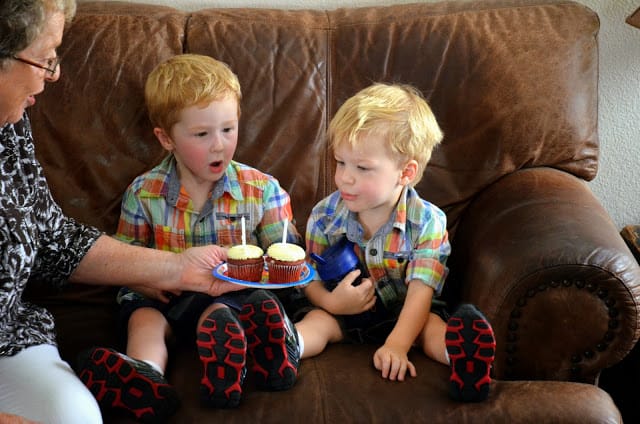My nephews, Dean & Danny, turned 3-years-old and the party was held at our house.