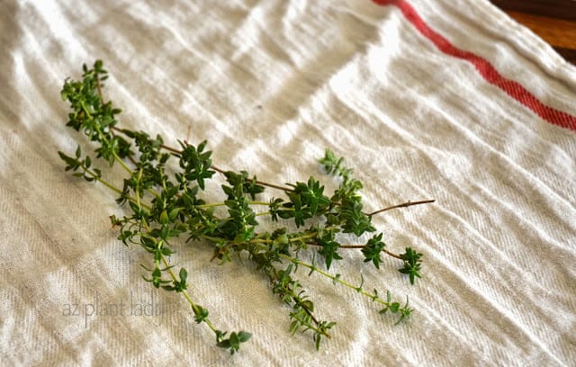 Create Natural Air Fresheners from Thyme