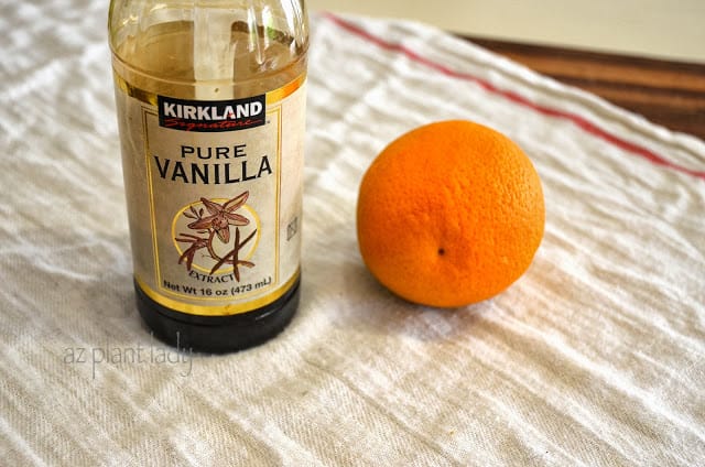 Oranges and vanilla extract