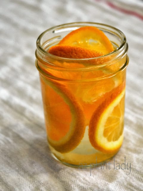 Oranges and vanilla extract