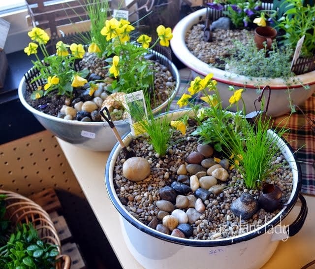 Old pots and bowls used to plant miniature gardens in an antique store in upstate New York