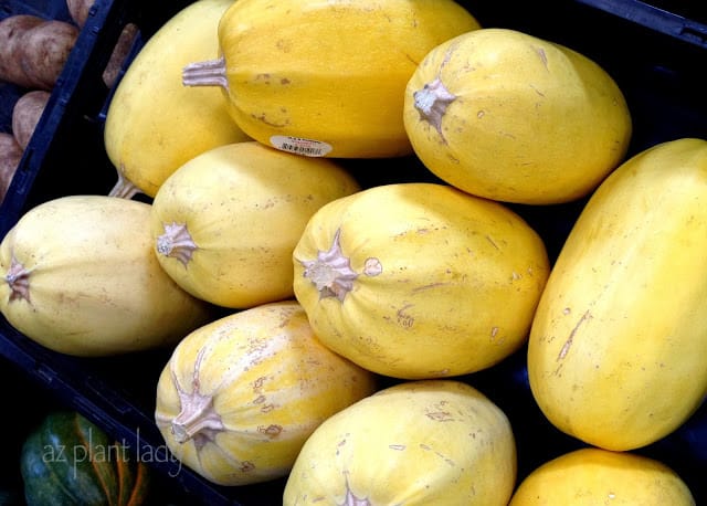 Spaghetti Squash