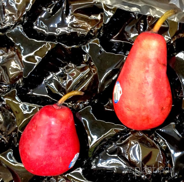 Red Pears