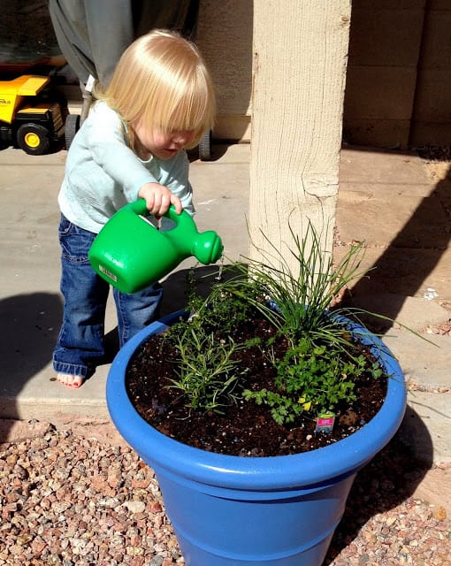 My granddaughter, Lily, is handling her watering duties very seriously.  I just think her little painted toenails are so cute