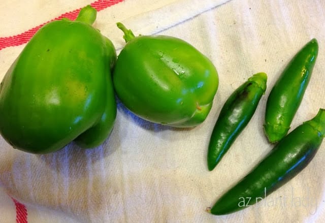 harvesting vegetables