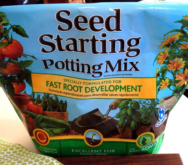 seedling containers