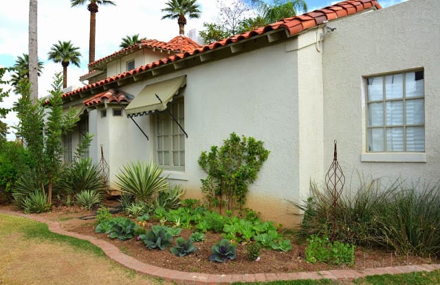 Vegetable Gardens