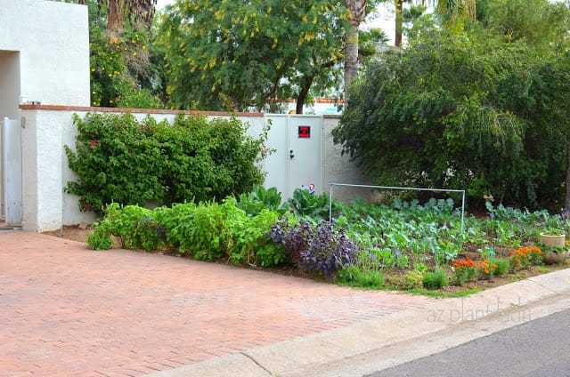 Vegetable Gardens