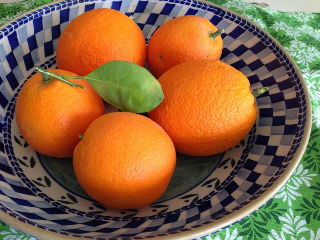 first harvest from our young orange tree