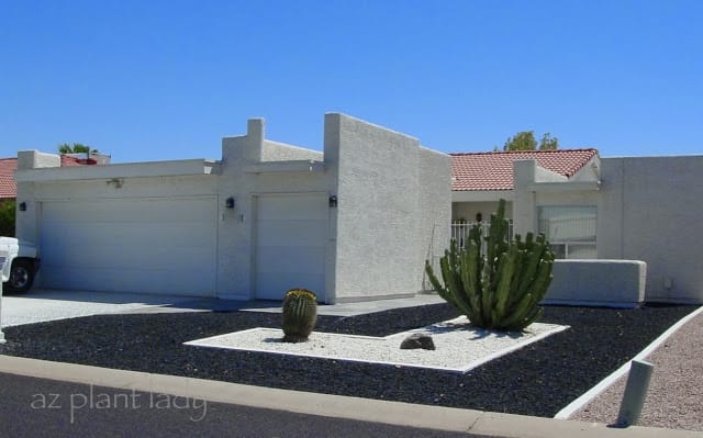 Drought-Tolerant Landscape