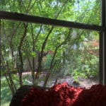 Leafy green plants make great window coverings