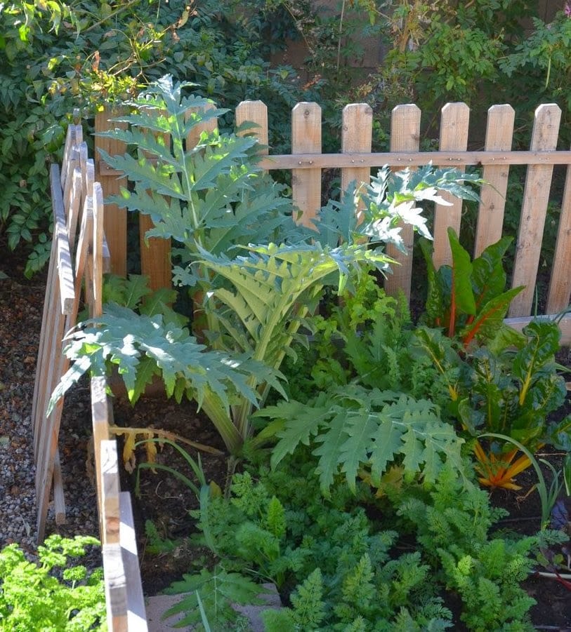 My Spring Garden in Winter