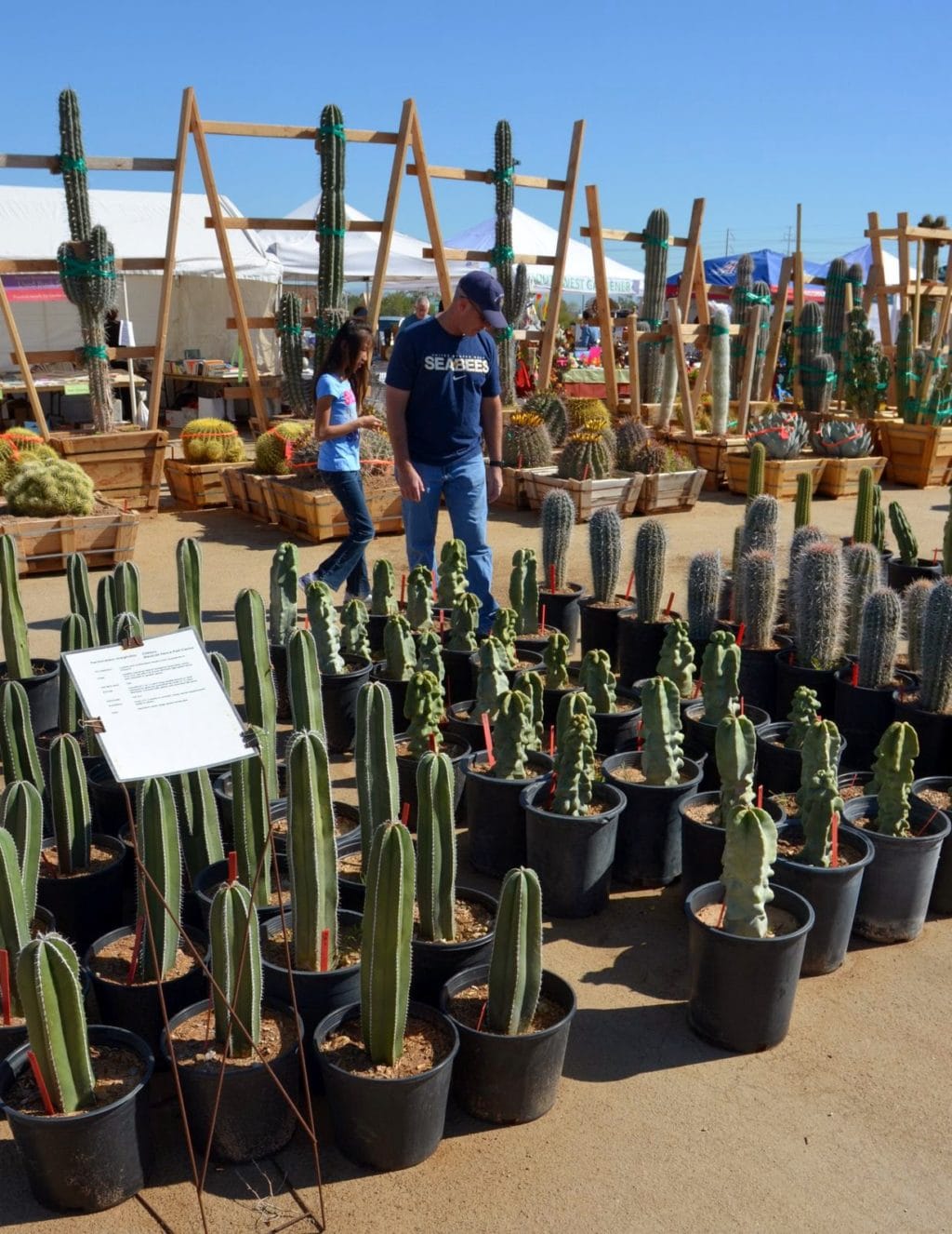 Shopping for Succulents, My husband and daughter checking out the young saguaro cacti.