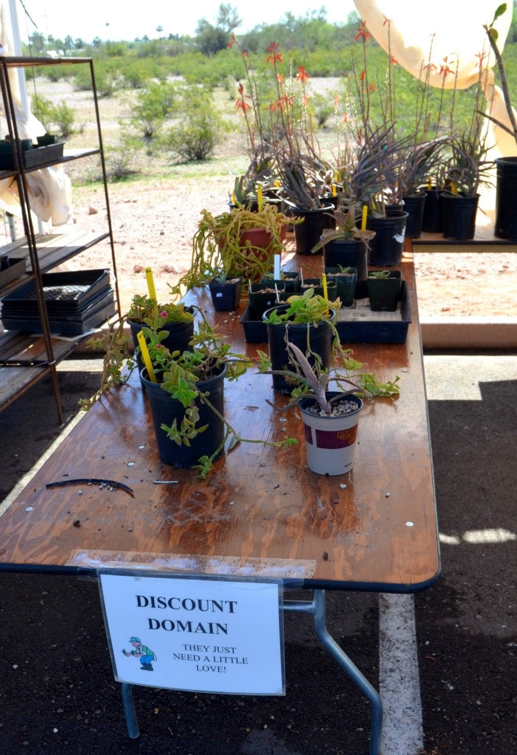 discounted plants.