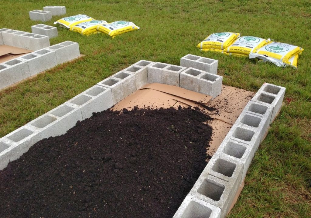 Creating a Community Garden In a Tropical Place...