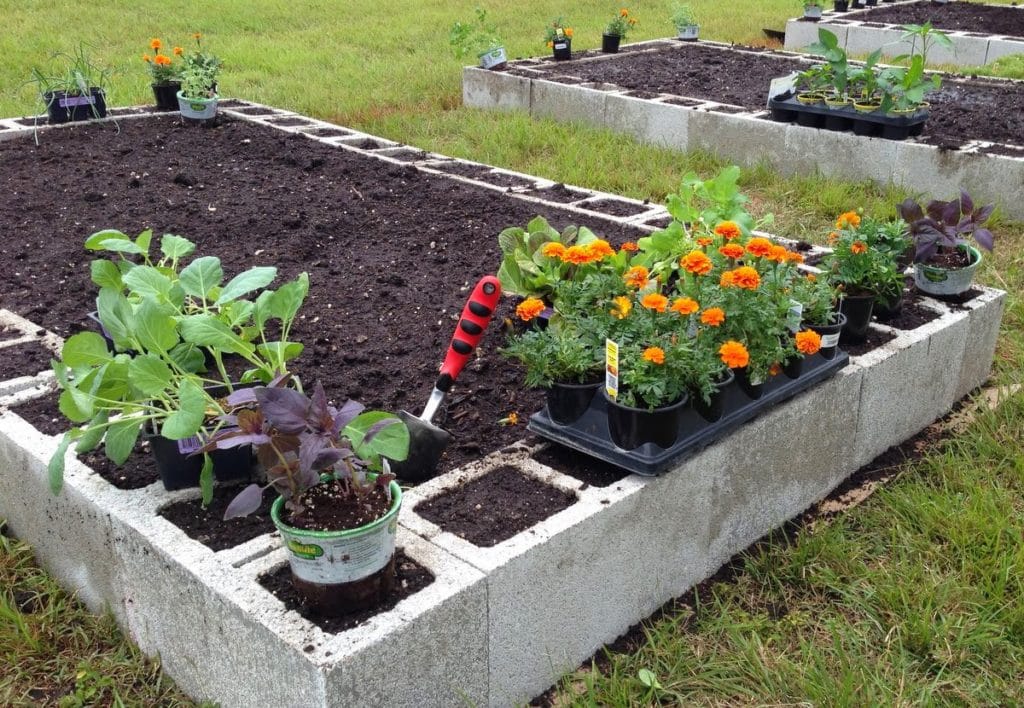 Community Garden 