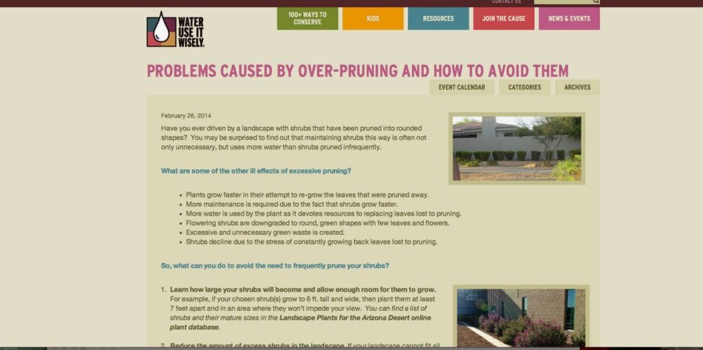 Over-Pruning and Ways to Avoid Them