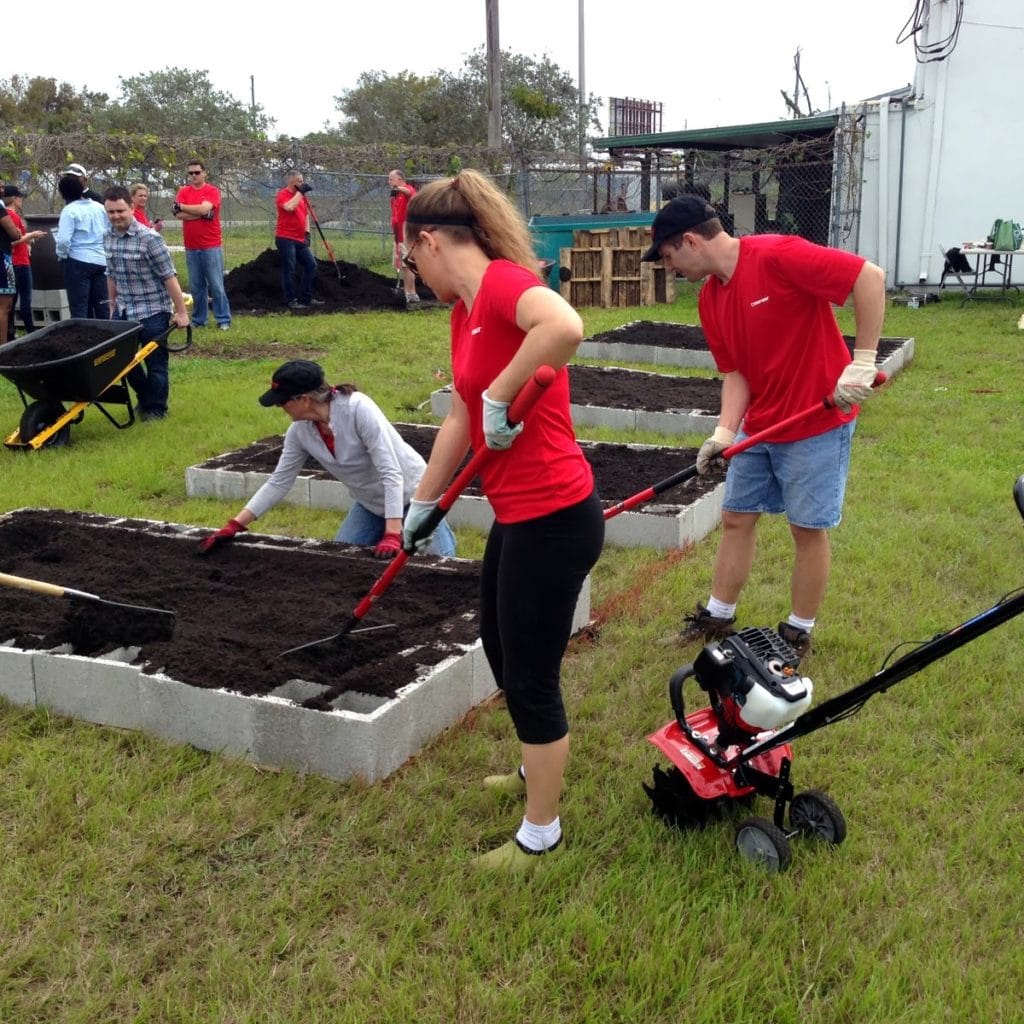 Community Garden 