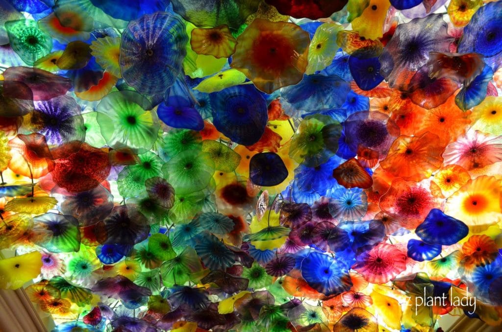 Chihuly glass displayed on the ceiling of the lobby at the Bellagio Hotel in Las Vegas.