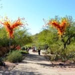 Chihuly Art in the Desert Garden