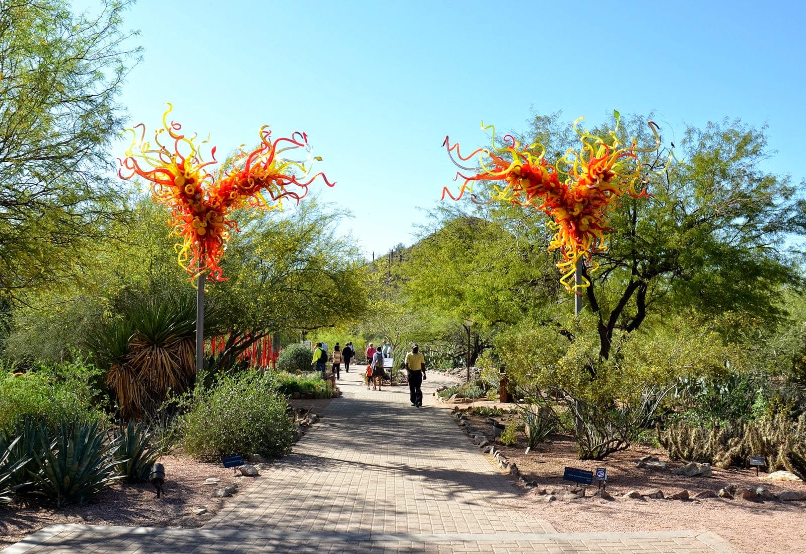 Chihuly Art in the Desert Garden