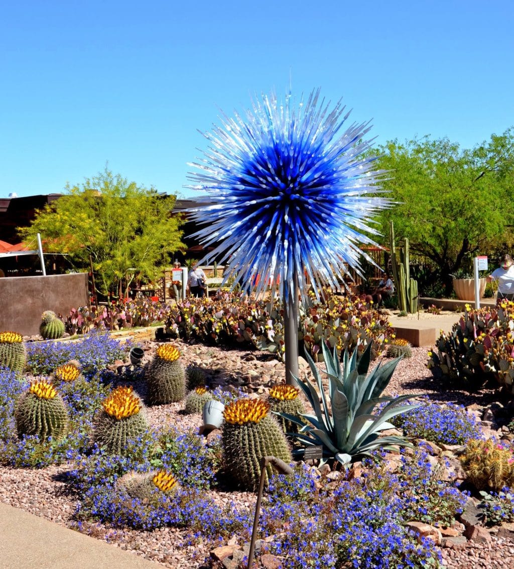 Chihuly Art in the Desert Garden