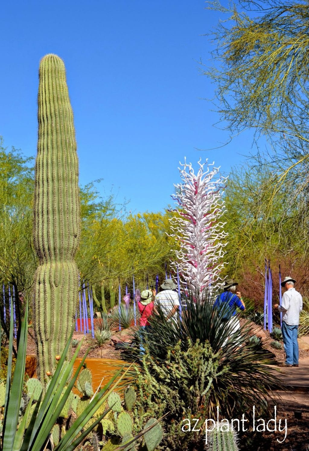 Chihuly Art in the Desert Garden