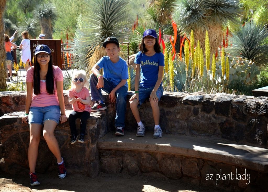 My three youngest kids and granddaughter.  Note the flowering Aloe Vera and the orange Chihuly art in the background