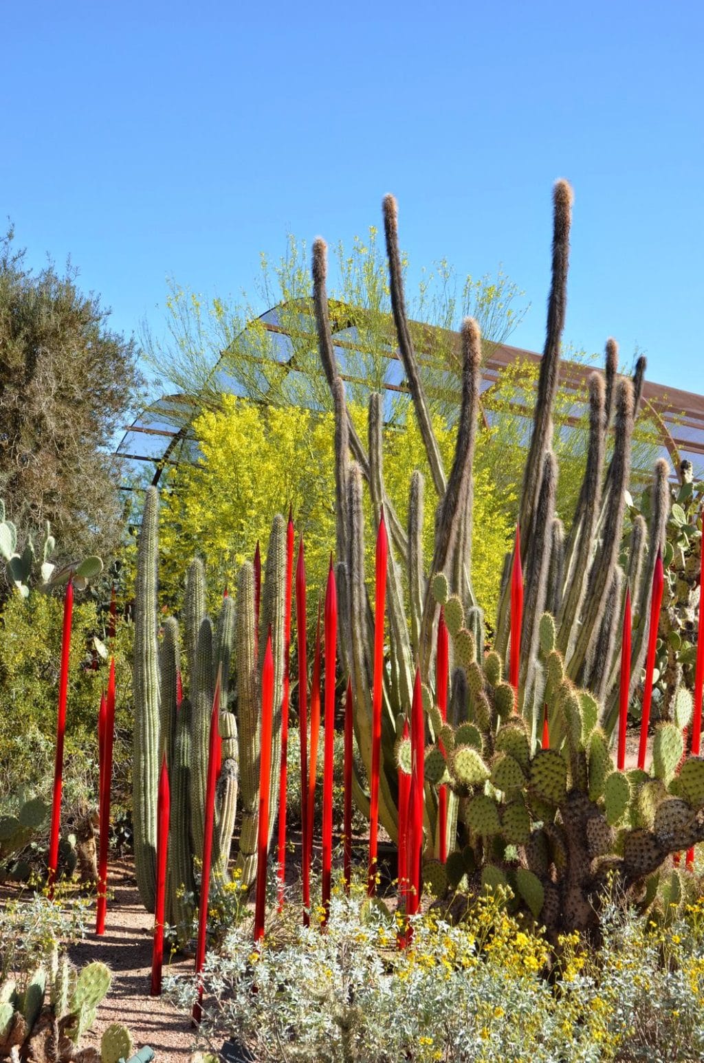 Chihuly Art in the Desert Garden