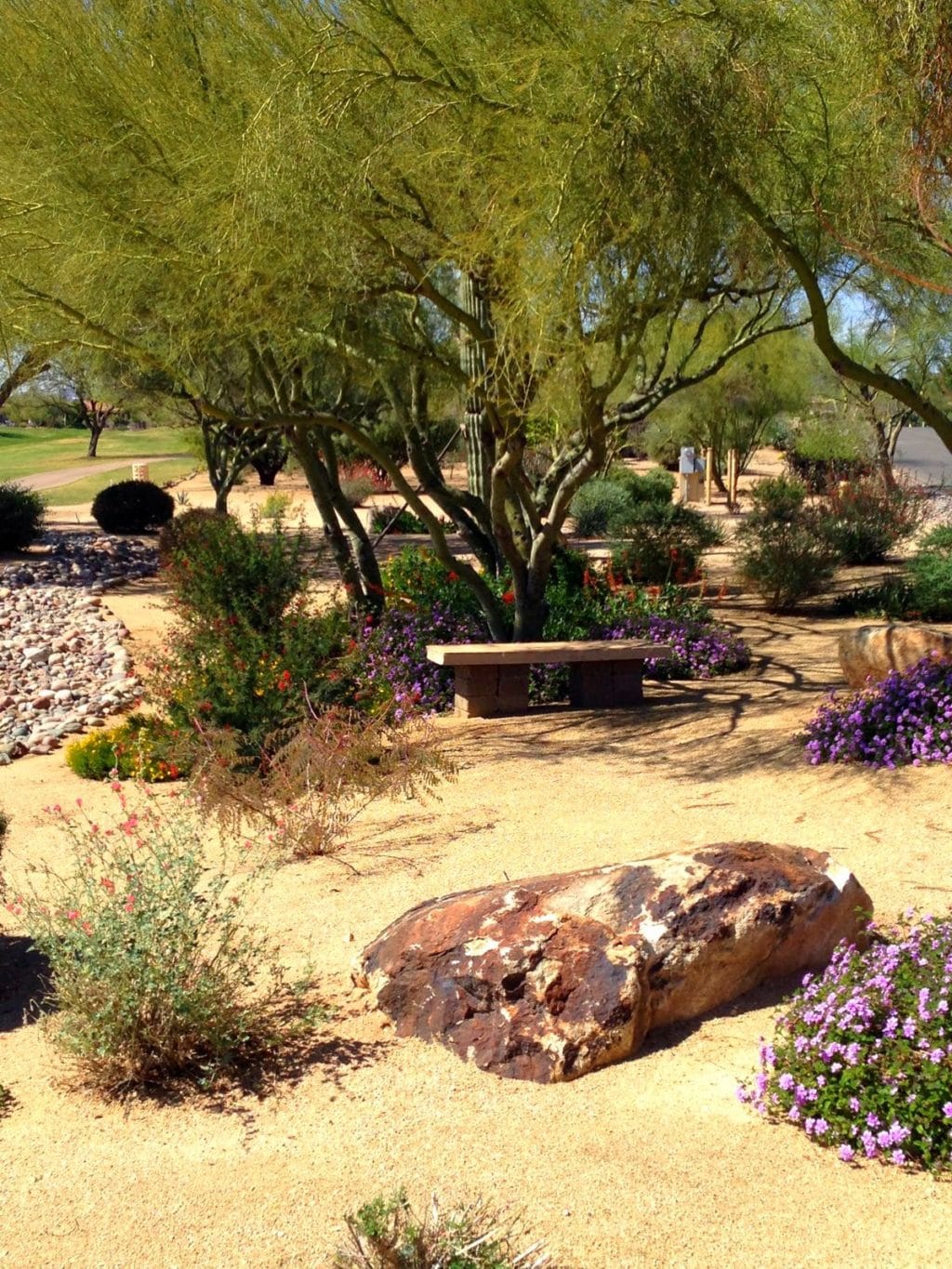 Southwestern Sustainable Landscapes