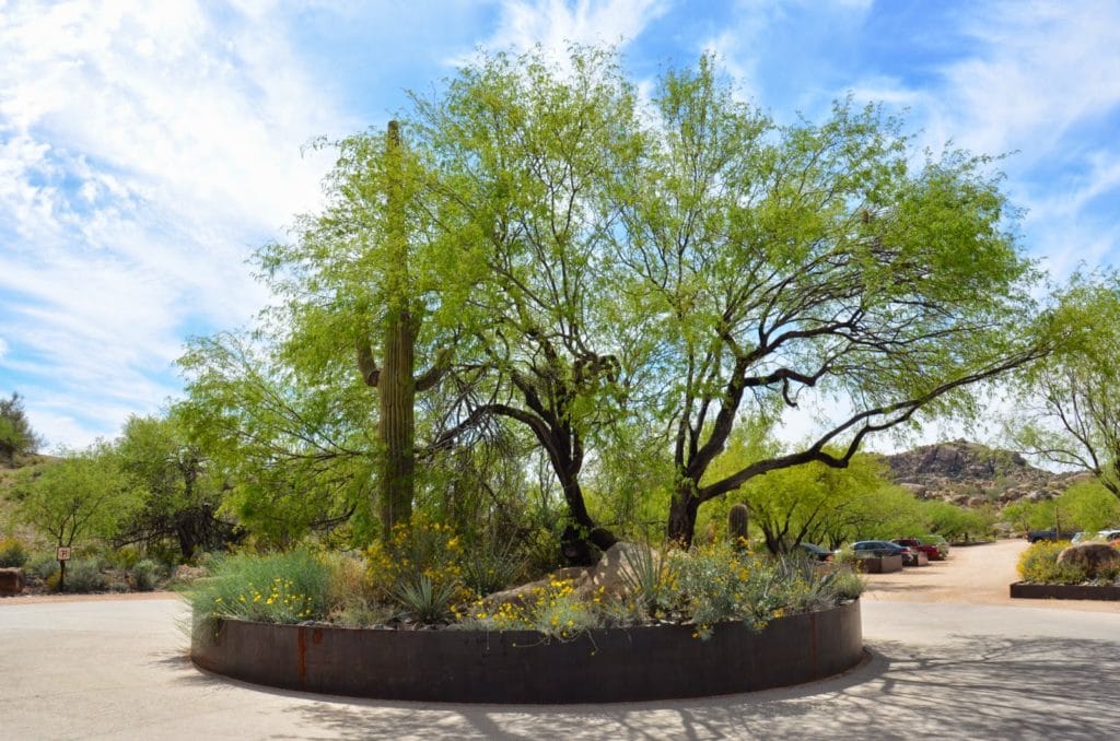 Southwestern Sustainable Landscapes