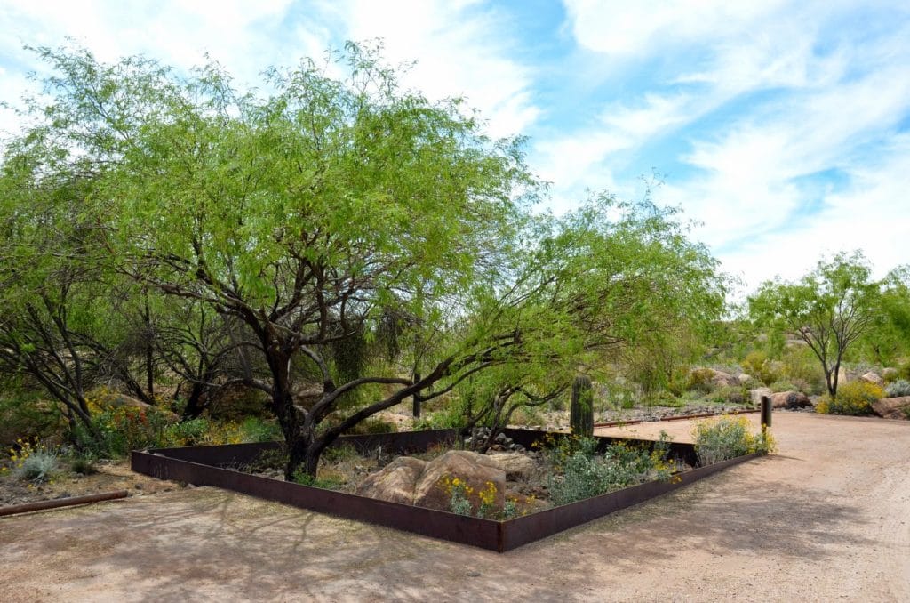 Southwestern Sustainable Landscapes