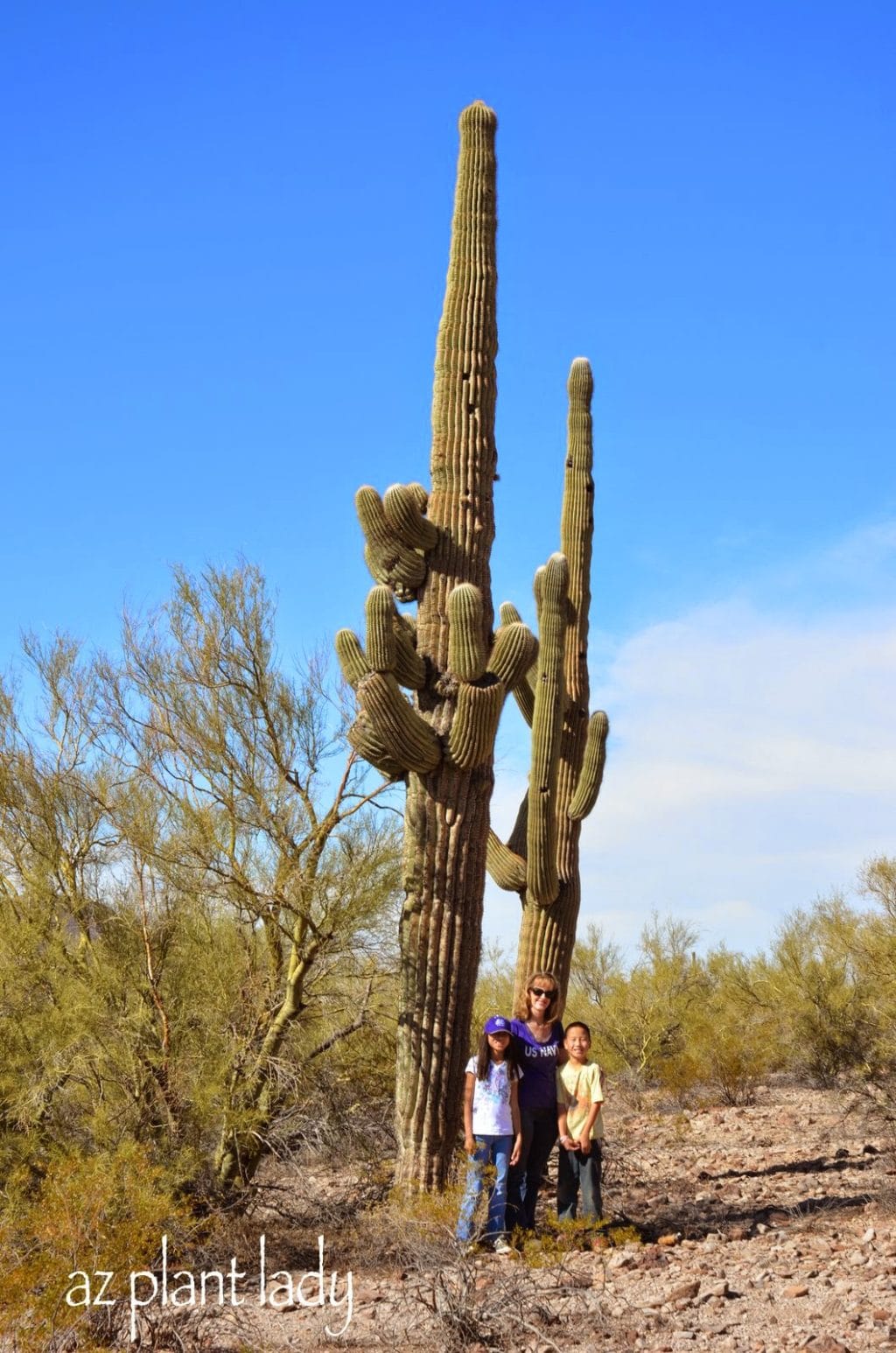 My two youngest kids and I on a recent visit to the Tucson desert.