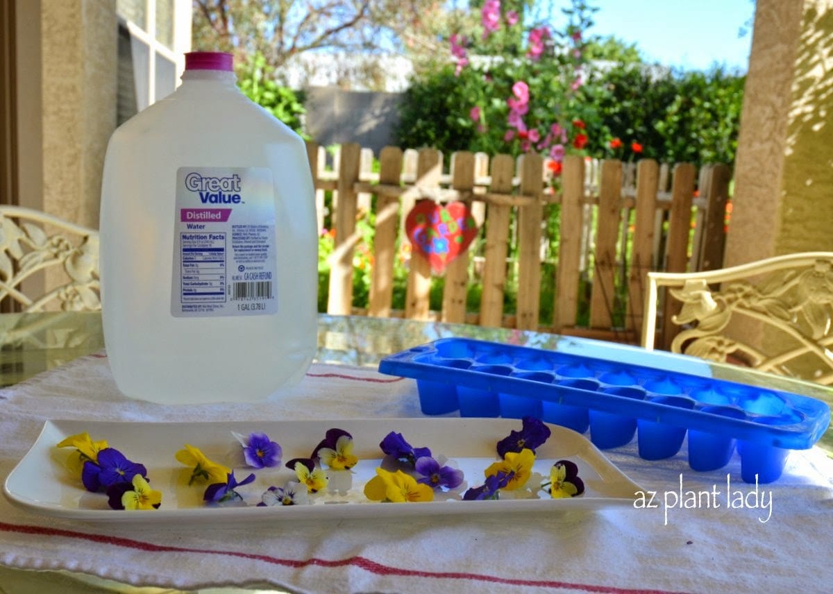 floral ice cubes