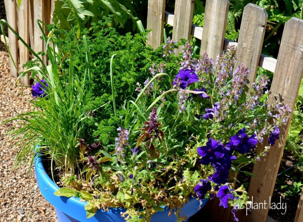 herb container