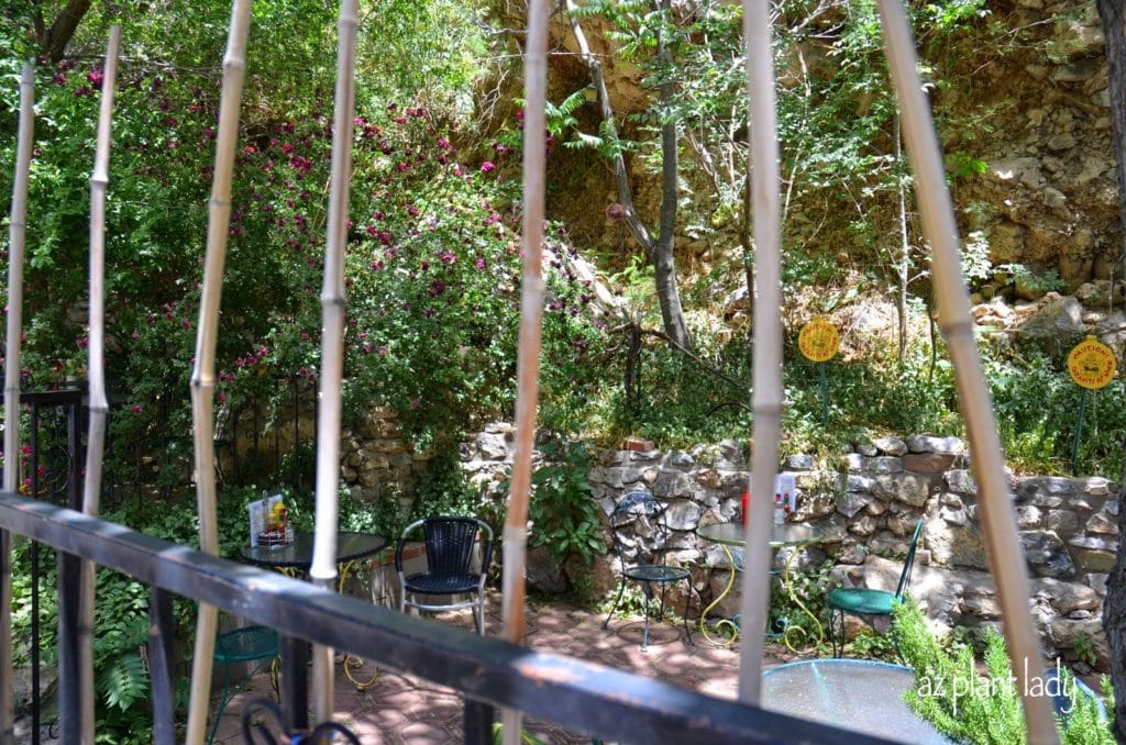 The Gardens of Bisbee