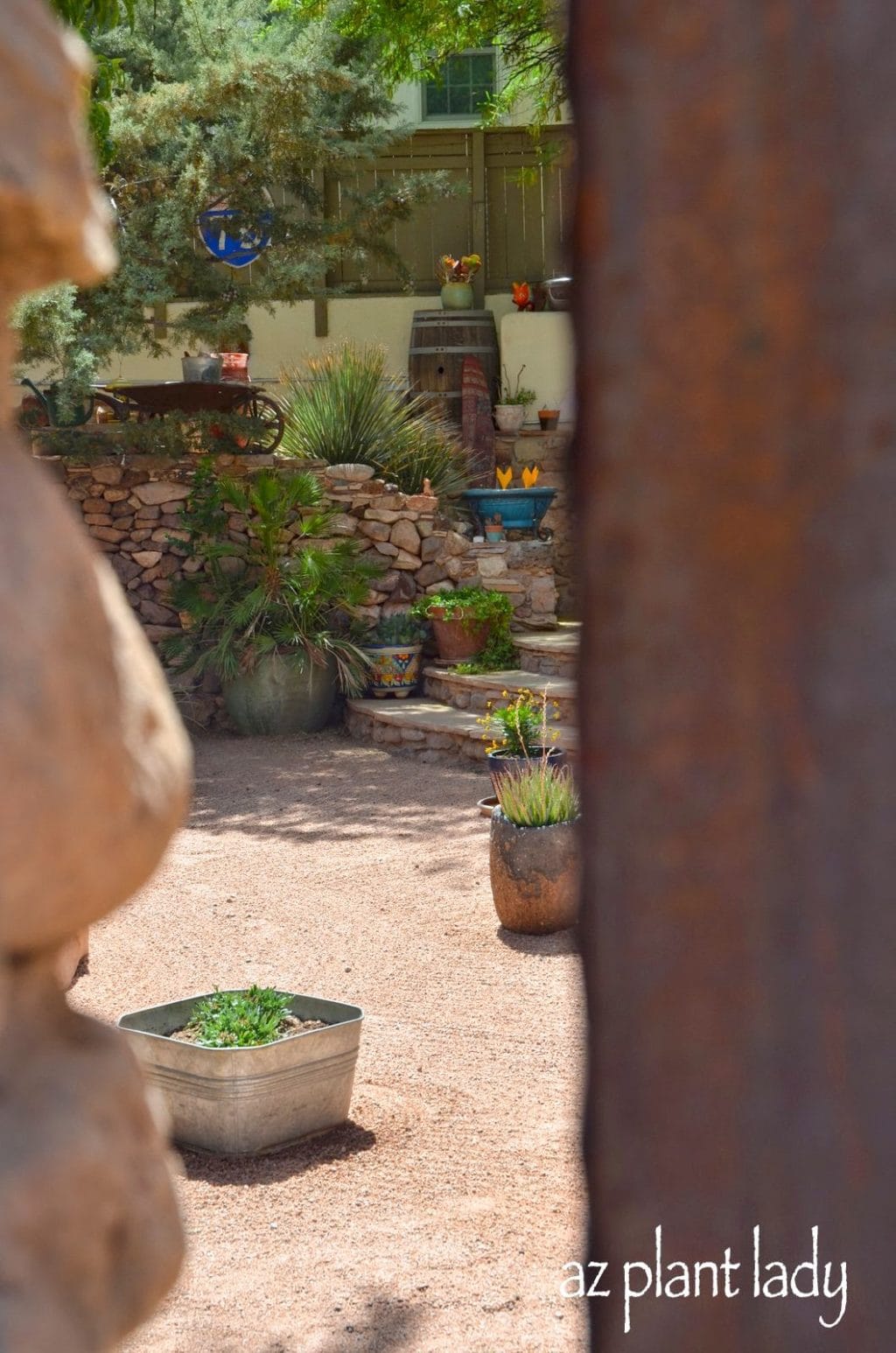 The Gardens of Bisbee