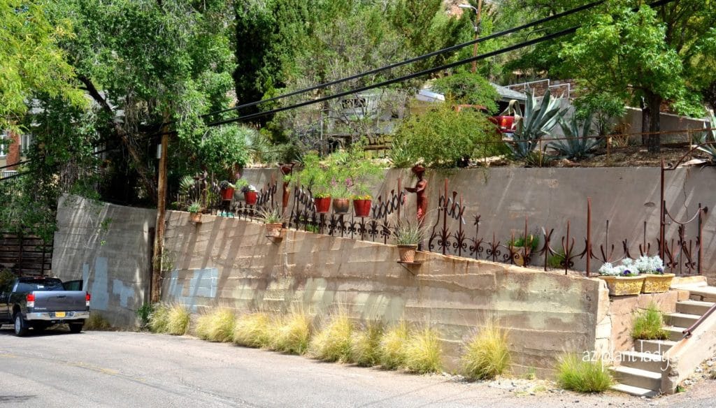 The Gardens of Bisbee