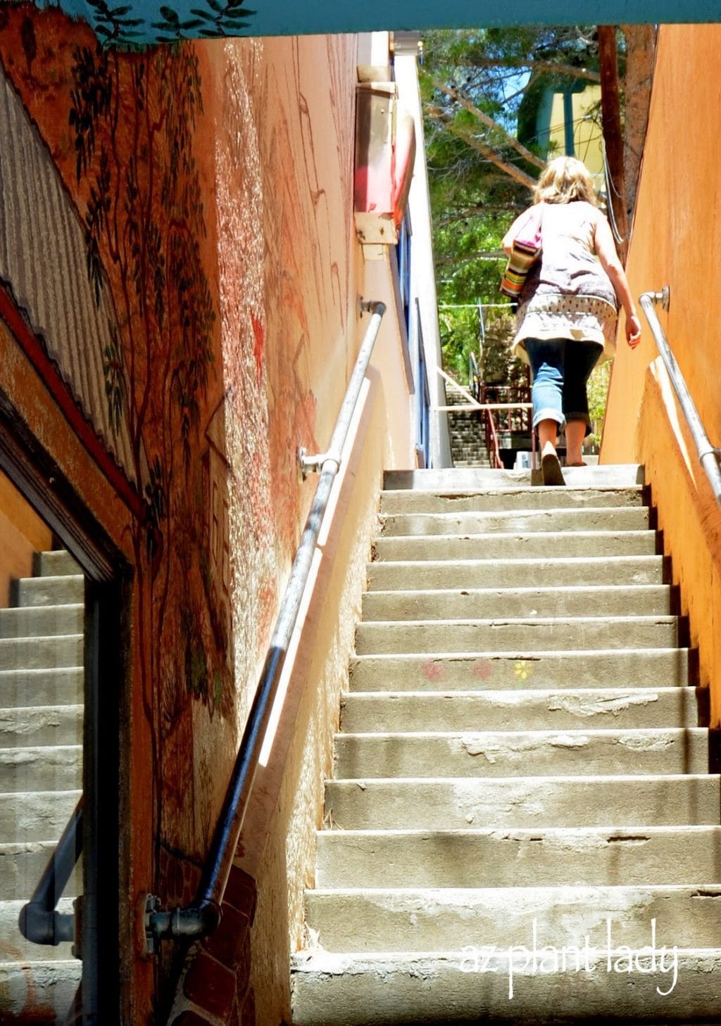 Bisbee Arizona The Great Stair Climb...