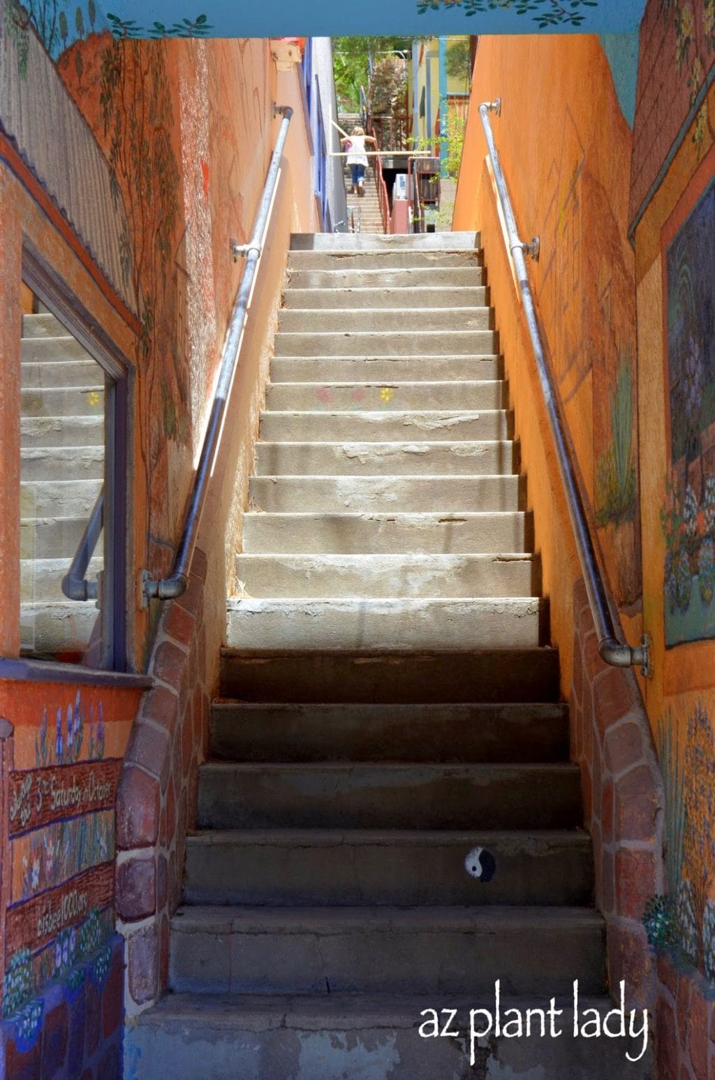 Bisbee Arizona The Great Stair Climb...