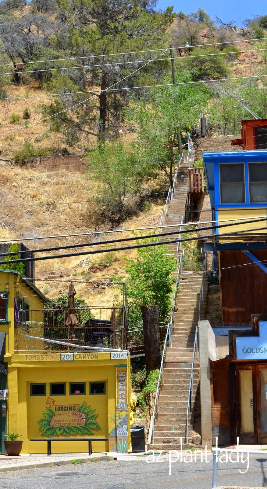 The Bisbee Great Stair Climb