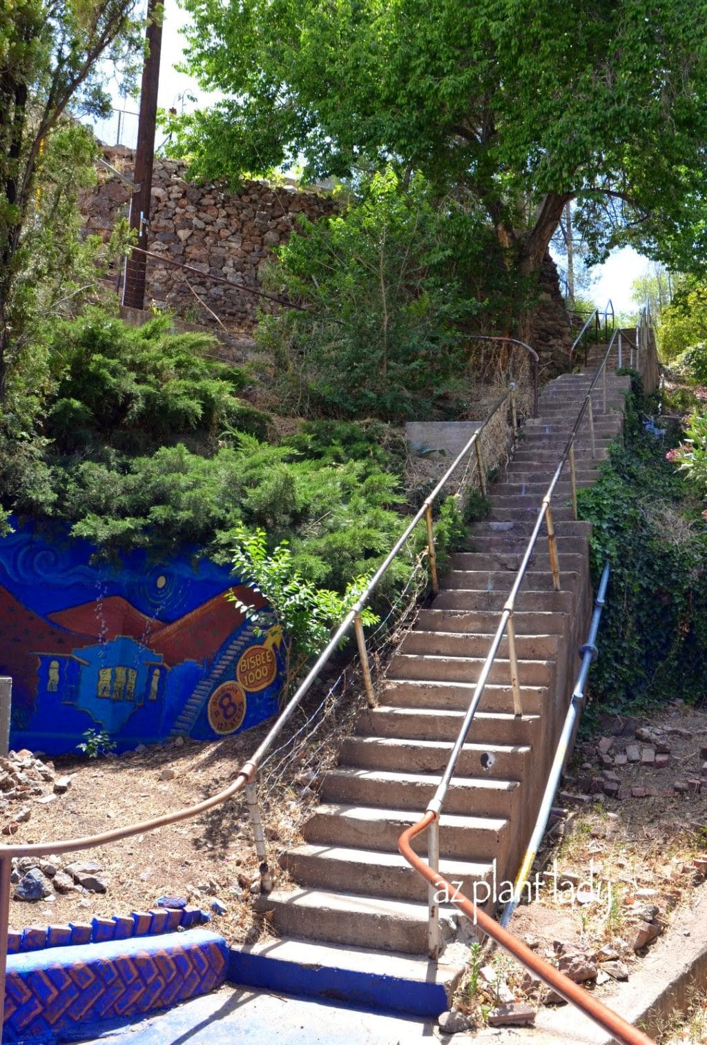 The Bisbee Great Stair Climb