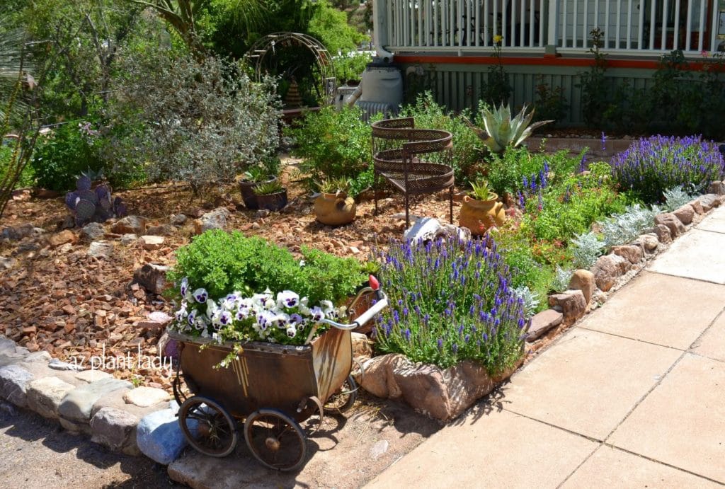 Gardens of Bisbee